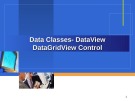 Data Classes - DataView DataGridView Control
