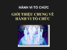 Bài giảng Hành vi tổ chức: Chương 1 - ThS. Tạ Thị Hồng Hạnh