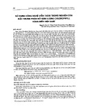 Sử dụng công nghệ viễn thám trong nghiên cứu đặc trưng phân bố hàm lượng chlorophyll vùng biển Việt Nam