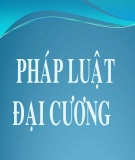 Tài liệu Pháp luật đại cương