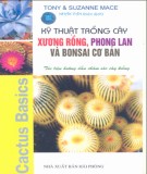 Hướng dẫn trồng cây xương rồng, phong lan và bonsai cơ bản: Phần 2