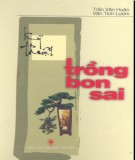 Nghệ thuật trồng Bonsai: Phần 2