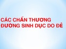 Bài giảng Các chấn thương đường sinh dục do đẻ