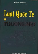 Tìm hiểu về Luật quốc tế về doanh nghiệp: Phần 1