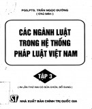 Tìm hiểu Các ngành luật trong hệ thống pháp luật Việt Nam (Tập 3): Phần 1