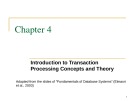 Database Management Systems: Chapter 4 - Introduction to Transaction Processing Concepts and Theory