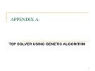 Appendix A: TSP solver using genetic algorithm