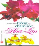 Kỹ thuật trồng và chăm sóc hoa lan: Phần 2