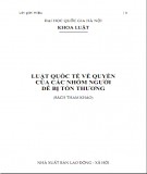 Hệ thống Luật quốc tế về quyền của các nhóm người dễ bị tổn thương: Phần 1