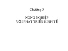 Bài giảng Kinh tế phát triển - Chương 5: Nông nghiệp với phát triển kinh tế