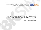 Bài giảng Conversion reaction: Phản ứng chuyển hoá