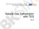 Bài giảng Gas9: Natural Gas Dehydration with TEG