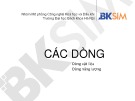 Bài giảng Các dòng: Dòng vật liệu, dòng năng lượng