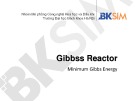 Bài giảng Gibbss Reactor: Minimum Gibbs Energy