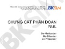 Bài giảng Chưng cất phân đoạn NGL: De-Methanizer, De-Ethanizer, De-Propanizer