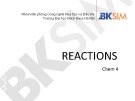 Bài giảng Chem 4: Reactions