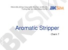 Bài giảng Chem 7: Aromatic Stripper