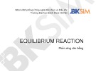 Bài giảng Equilibrium reaction: Phản ứng cân bằng