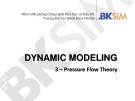 Dynamic modeling: 3 - Pressure flow theory