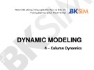 Dynamic modeling: 4 – Column dynamics