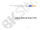 Bài giảng Equilibrium reaction