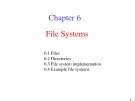 Operating System: Chapter 6 - File Systems