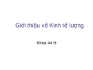 Bài giảng Kinh tế lượng: Chương 1 - Mô hình hồi quy 2 biến, một vài tư tưởng cơ bản