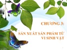 Bài giảng Vi sinh ứng dụng: Chương 3 - GV. Đoàn Thị Ngọc Thanh