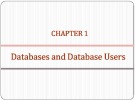 Lecture Database - Chapter 1: Databases and database users