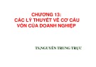 Bài giảng Chương 13: Các lý thuyết về cơ cấu vốn của doanh nghiệp - TS. Nguyễn Trung Trực