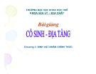 Bài giảng Cổ sinh địa tầng - Chương 3: Sinh vật nhân chính thức