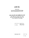 Đề tài: Lập cân bằng năng lượng tổng thể và xây dựng chính sách năng lượng quốc gia đến 2005: Hiệu quả sử dụng năng lượng trong sản xuất ở một hệ thống lò hơi công nghiệp