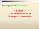 Lecture Managerial economics - Chapter 1: The Fundamentals of managerial economics