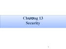 Bài giảng Hệ quản trị cơ sở dữ liệu - Chương 13: Security