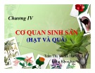 Bài giảng Thực vật và phân loại thực vật - Chương 4: Cơ quan sinh sản (Hạt và quả)