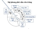 Bài giảng Côn trùng đại cương - Chương 3: Giải phẫu & sinh lý côn trùng