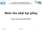 Bài giảng Bước thu nhặt hạt giống