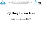 Bài giảng Kỹ thuật giâm hom