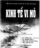 Giáo trình Kinh tế vi mô - TS. Lê Bảo Lâm