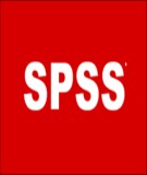 Bài giảng Phần mềm xử lý số liệu SPSS