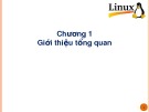 Bài giảng Hệ điều hành Linux - Chương 1: Giới thiệu tổng quan