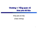 Bài giảng Khai phá dữ liệu (Data mining): Chương 1 - Lê Tiến