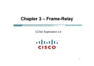 Lecture CCNA Exploration 4.0 (Kỳ 4) - Chapter 3: Frame Relay