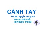 Bài giảng Cánh tay - ThS.BS. Nguyễn Hoàng Vũ