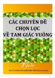 Các chuyên đề về tam giác vuông