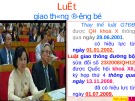 Bài giảng Luật giao thông đường bộ