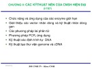 Bài giảng Công nghệ sinh học đại cương: Chương 2 - ThS. Ninh Thị Thảo