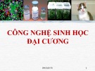 Bài giảng Công nghệ sinh học đại cương: Chương 1 - ThS. Ninh Thị Thảo