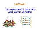 Bài giảng Sinh học phân tử - Chương 2: Các đại phân tử sinh học acid nucleic và protein