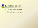 Bài giảng Công nghệ sinh học đại cương: Bài ôn tập - Nguyễn Thị Phương Thảo